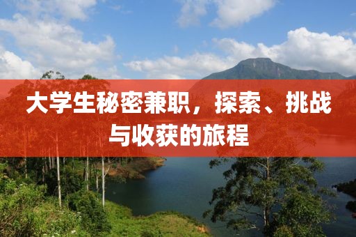 大学生秘密兼职，探索、挑战与收获的旅程