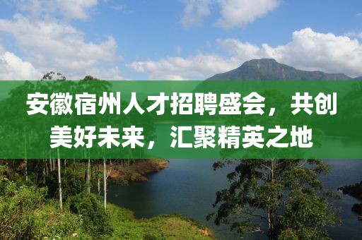 安徽宿州人才招聘盛会，共创美好未来，汇聚精英之地