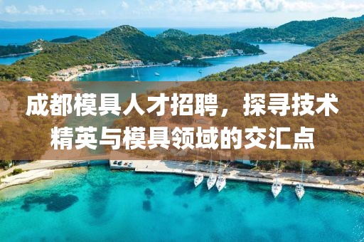 成都模具人才招聘，探寻技术精英与模具领域的交汇点