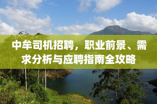 中牟司机招聘，职业前景、需求分析与应聘指南全攻略