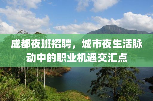 成都夜班招聘，城市夜生活脉动中的职业机遇交汇点