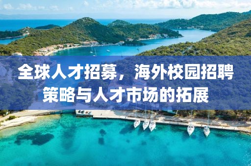 全球人才招募，海外校园招聘策略与人才市场的拓展