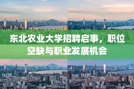 东北农业大学招聘启事，职位空缺与职业发展机会