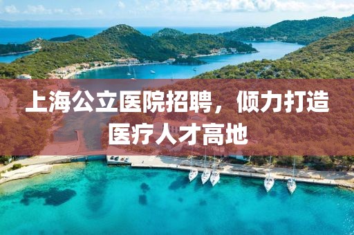 上海公立医院招聘，倾力打造医疗人才高地