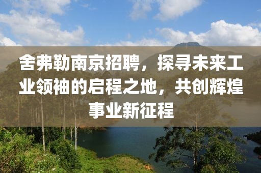 舍弗勒南京招聘，探寻未来工业领袖的启程之地，共创辉煌事业新征程