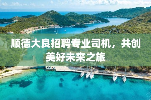 顺德大良招聘专业司机，共创美好未来之旅