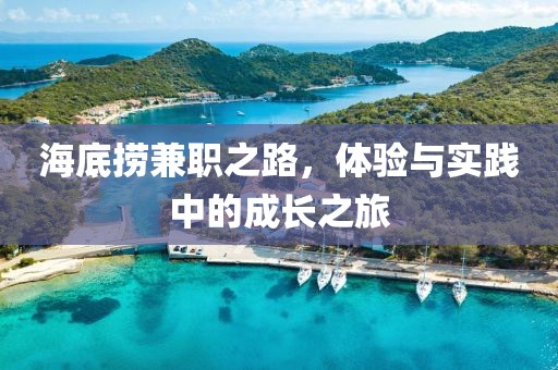 海底捞兼职之路，体验与实践中的成长之旅